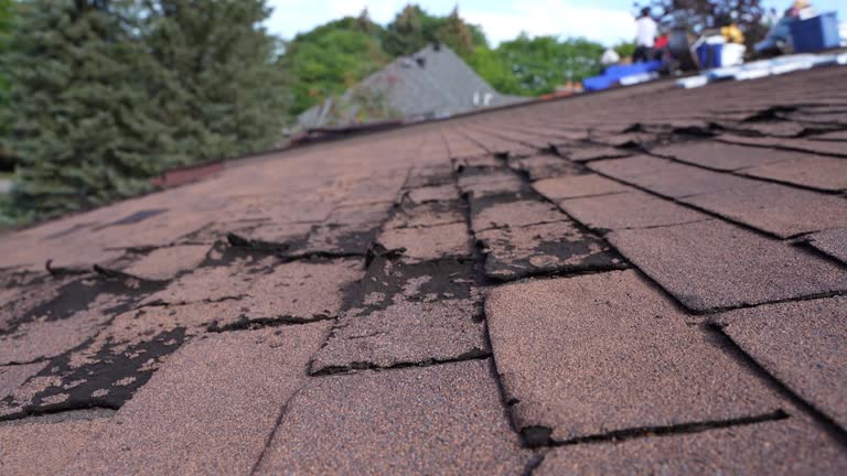 Best Commercial Roofing Services  in Maple Glen, PA