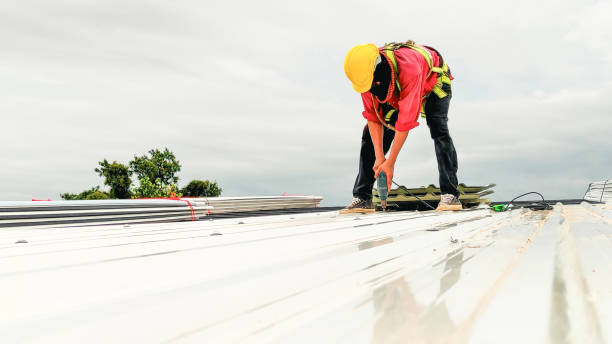 Best Gutter Installation and Repair  in Maple Glen, PA