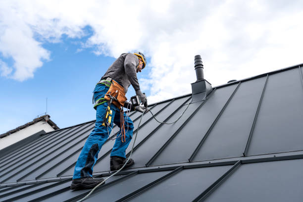 Best Roof Moss and Algae Removal  in Maple Glen, PA