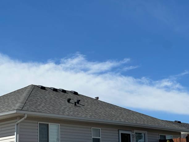 Best Roof Maintenance and Cleaning  in Maple Glen, PA